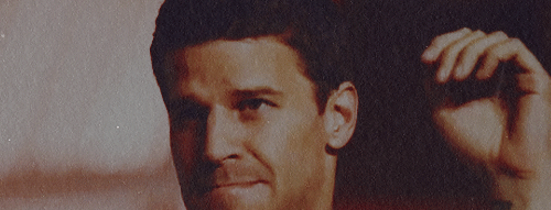 davidboreanazagenteseeleybooth