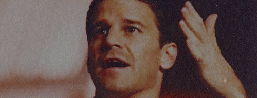 davidboreanazagenteseeleybooth
