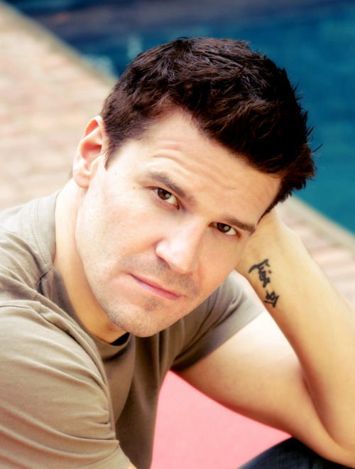 davidboreanazagenteseeleybooth