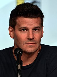 davidboreanazagenteseeleybooth