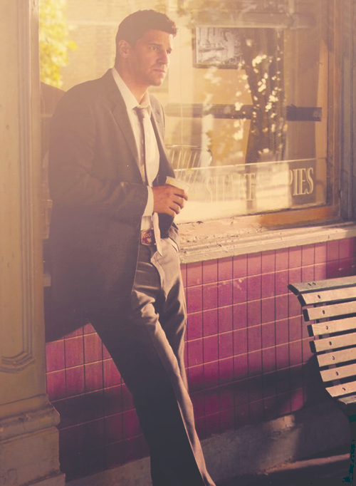 davidboreanazagenteseeleybooth