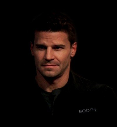 davidboreanazagenteseeleybooth