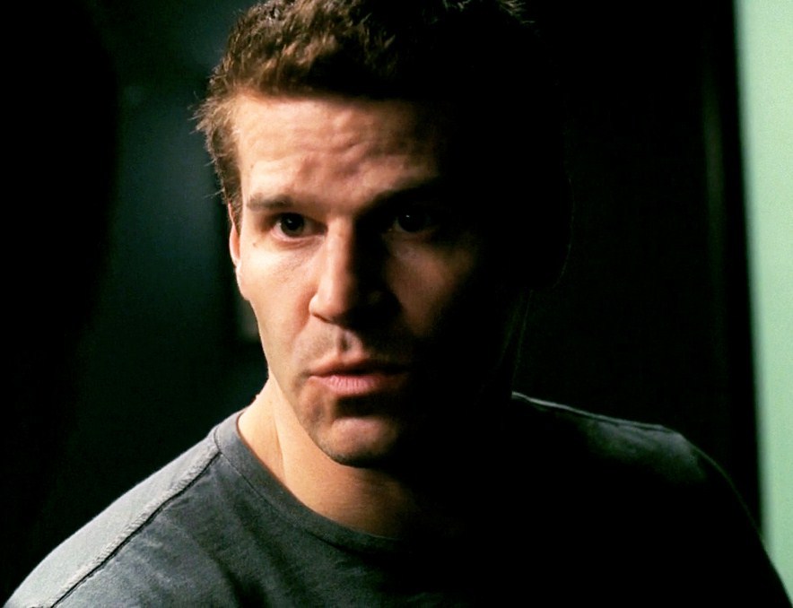 davidboreanazagenteseeleybooth