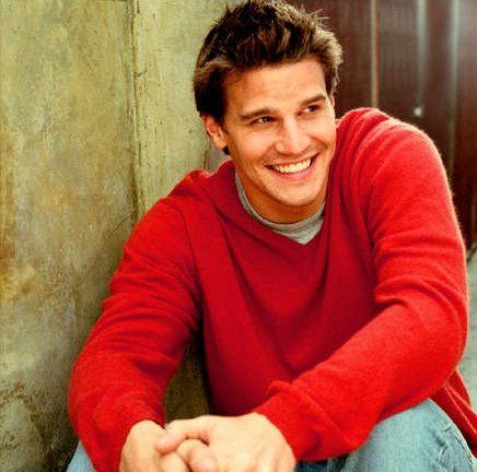 davidboreanazagenteseeleybooth