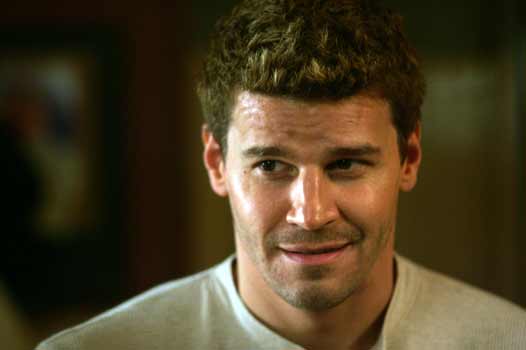 davidboreanazagenteseeleybooth