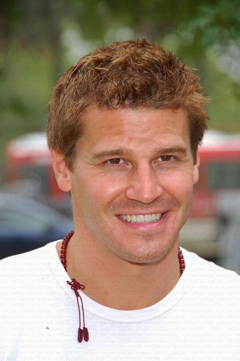 davidboreanazagenteseeleybooth