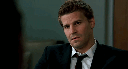 davidboreanazagenteseeleybooth
