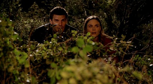 davidboreanazagenteseeleybooth