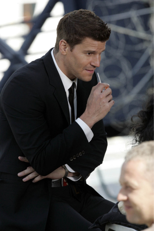 davidboreanazagenteseeleybooth