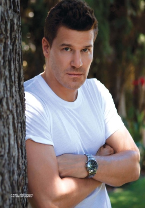 davidboreanazagenteseeleybooth