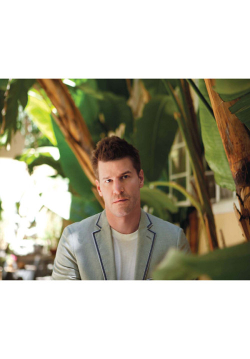 davidboreanazagenteseeleybooth