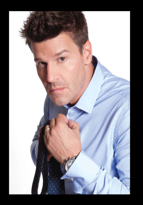 davidboreanazagenteseeleybooth