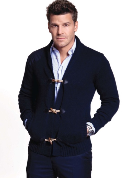 davidboreanazagenteseeleybooth