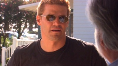 davidboreanazagenteseeleybooth