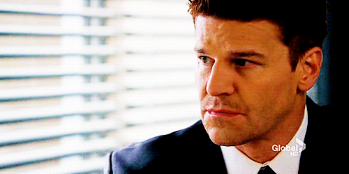 davidboreanazagenteseeleybooth