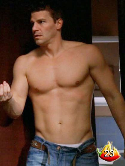 davidboreanazagenteseeleybooth