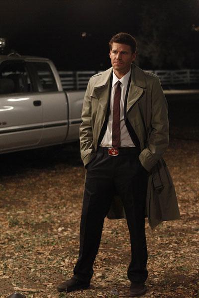 davidboreanazagenteseeleybooth