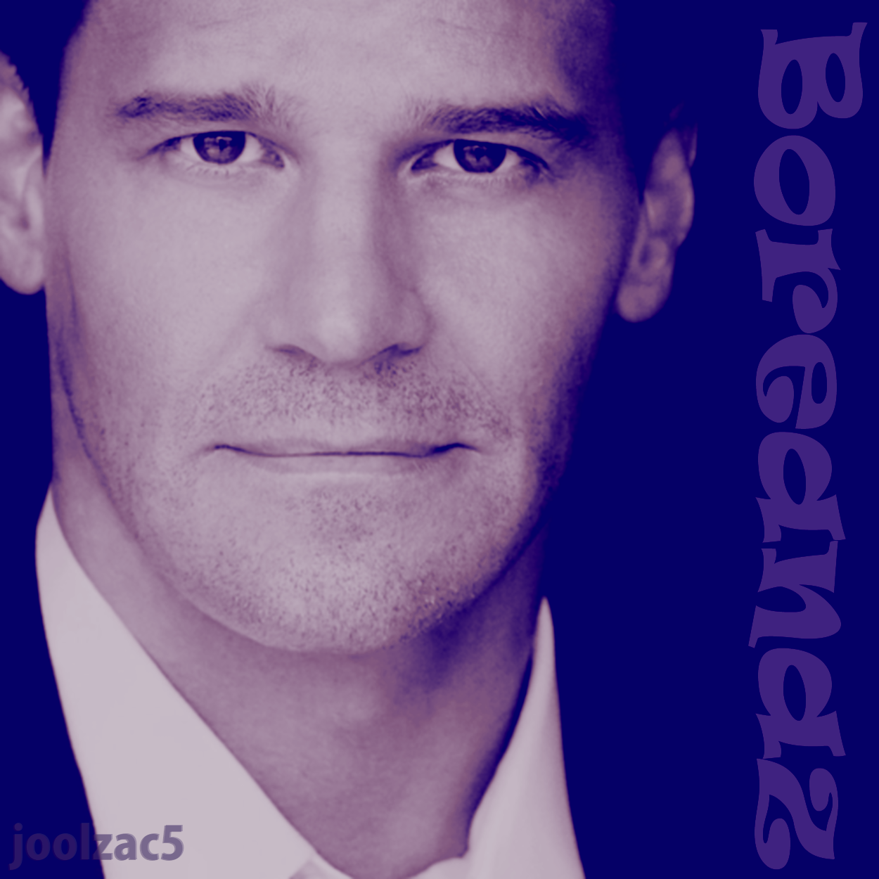 davidboreanazagenteseeleybooth