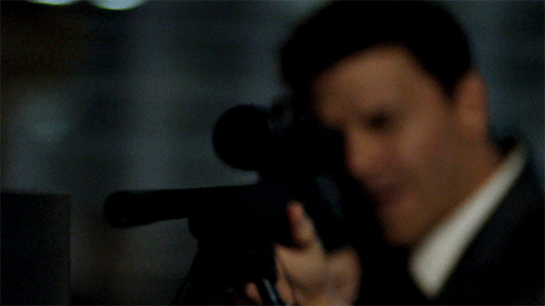 davidboreanazagenteseeleybooth