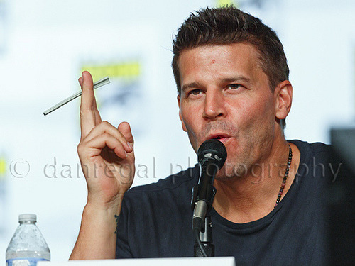 davidboreanazagenteseeleybooth