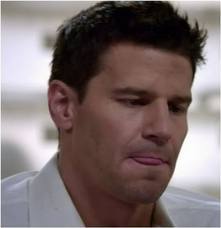 davidboreanazagenteseeleybooth