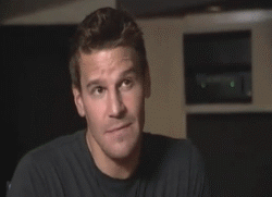 davidboreanazagenteseeleybooth