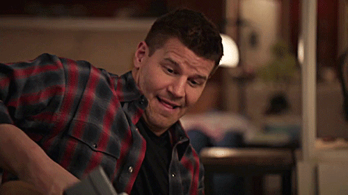 davidboreanazagenteseeleybooth