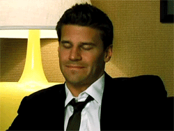 davidboreanazagenteseeleybooth