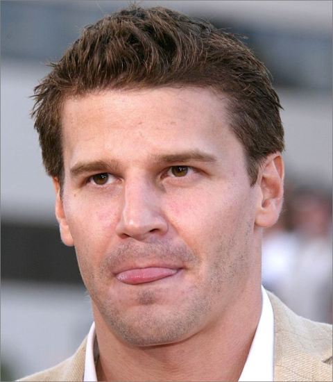 davidboreanazagenteseeleybooth