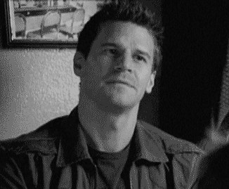 davidboreanazagenteseeleybooth