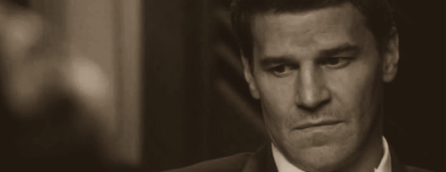 davidboreanazagenteseeleybooth