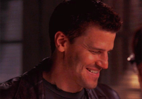 davidboreanazagenteseeleybooth