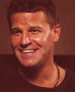 davidboreanazagenteseeleybooth