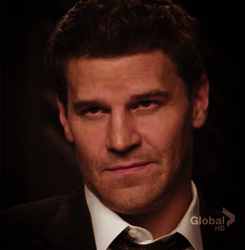 davidboreanazagenteseeleybooth