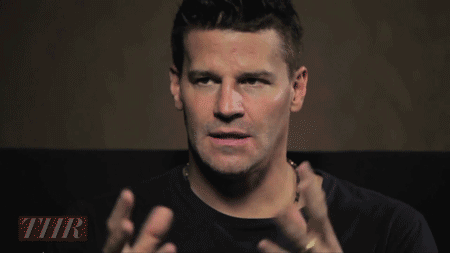 davidboreanazagenteseeleybooth
