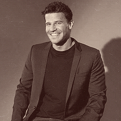 davidboreanazagenteseeleybooth