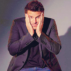 davidboreanazagenteseeleybooth