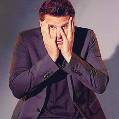 davidboreanazagenteseeleybooth