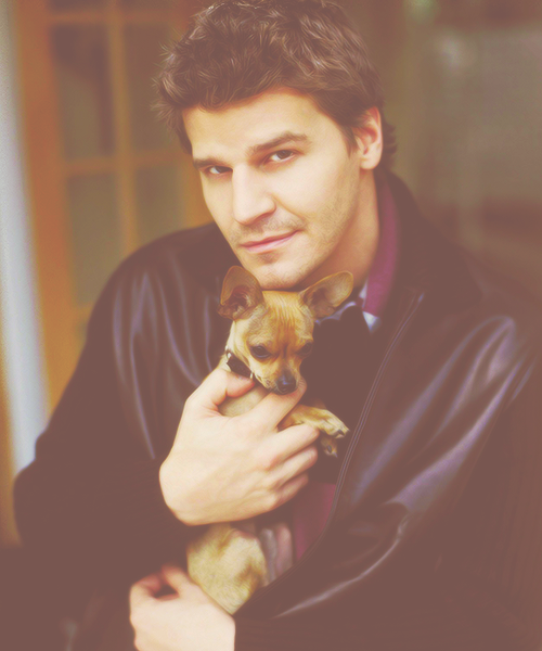 davidboreanazagenteseeleybooth