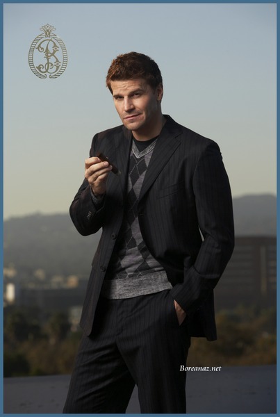 davidboreanazagenteseeleybooth