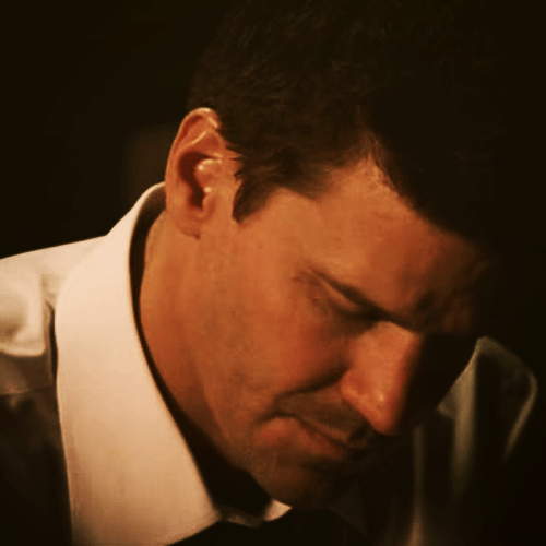 davidboreanazagenteseeleybooth