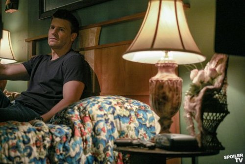 davidboreanazagenteseeleybooth