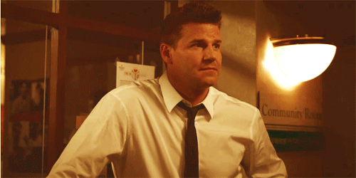 davidboreanazagenteseeleybooth