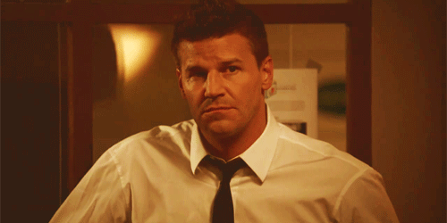 davidboreanazagenteseeleybooth