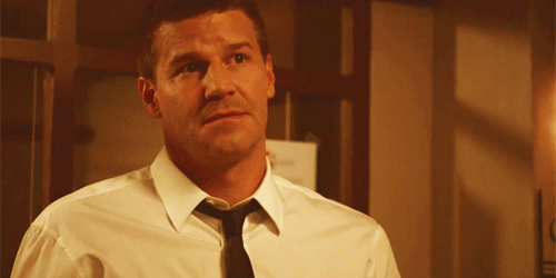 davidboreanazagenteseeleybooth