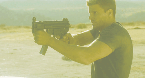 davidboreanazagenteseeleybooth