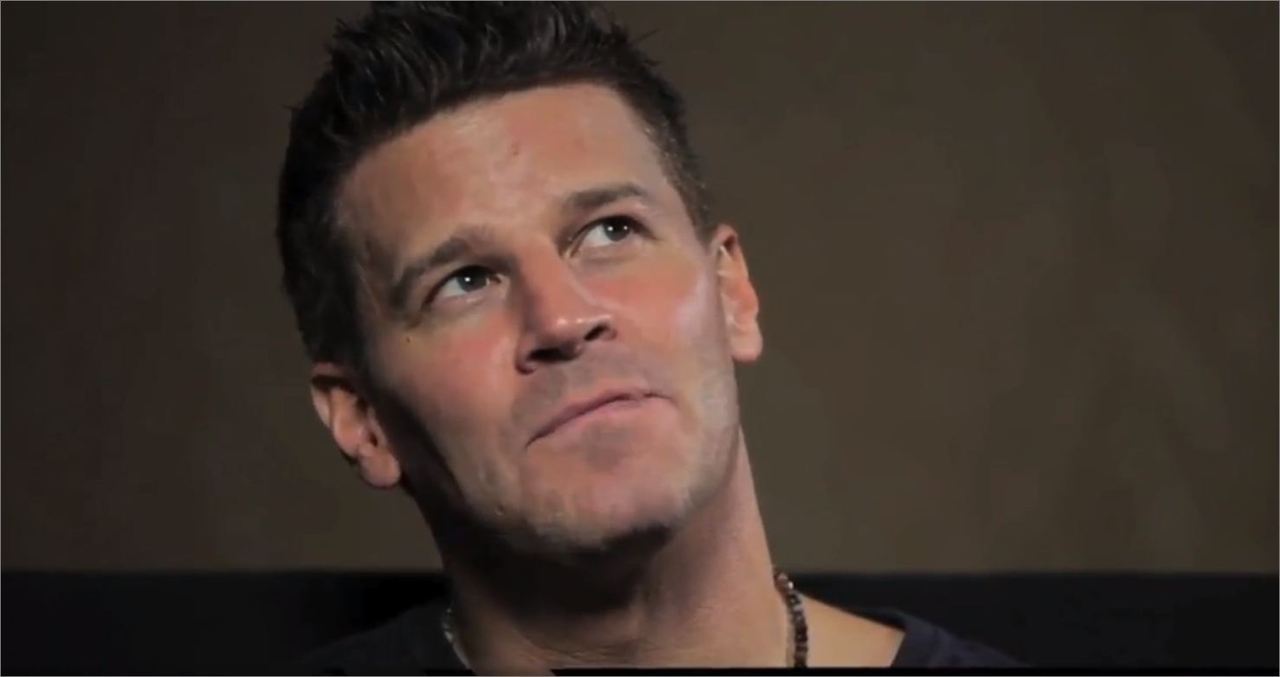 davidboreanazagenteseeleybooth