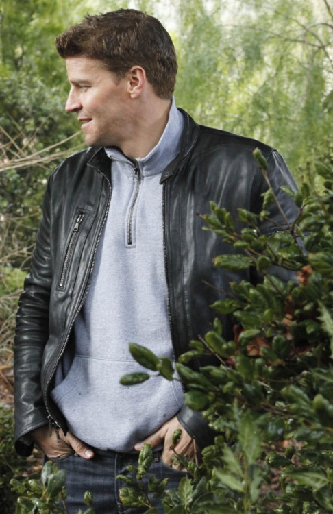 davidboreanazagenteseeleybooth