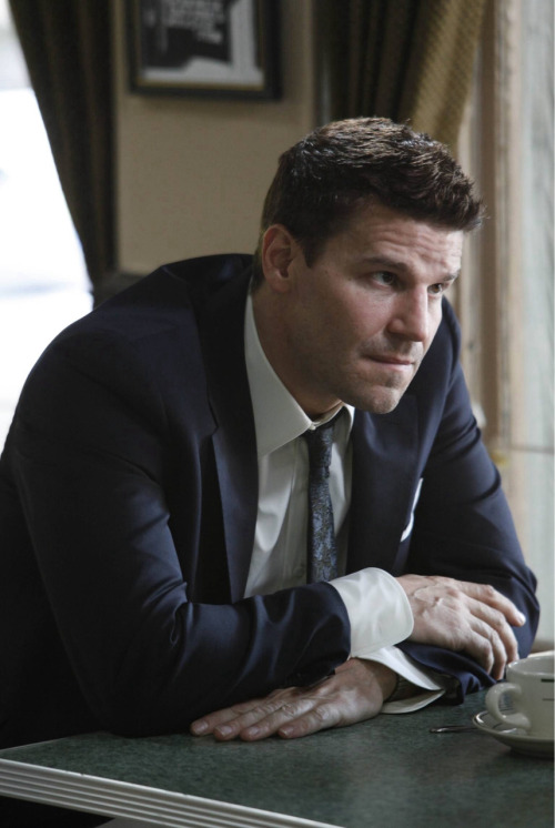davidboreanazagenteseeleybooth