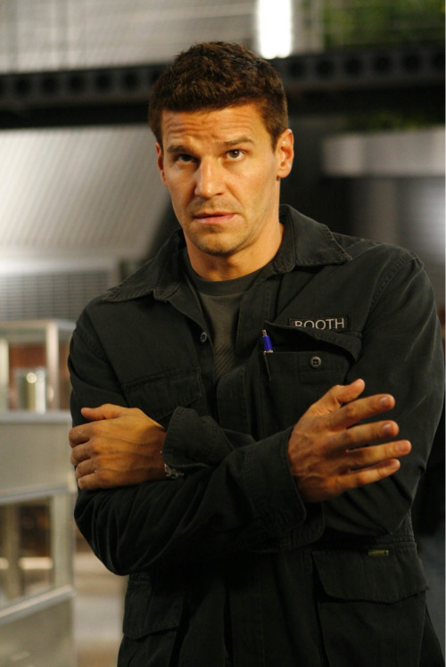 davidboreanazagenteseeleybooth